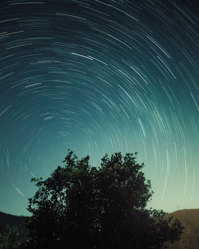 About Mesmerizing star trails create a vortex above a dark forest landscape, capturing the night's beauty.